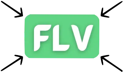 compress flv product logo