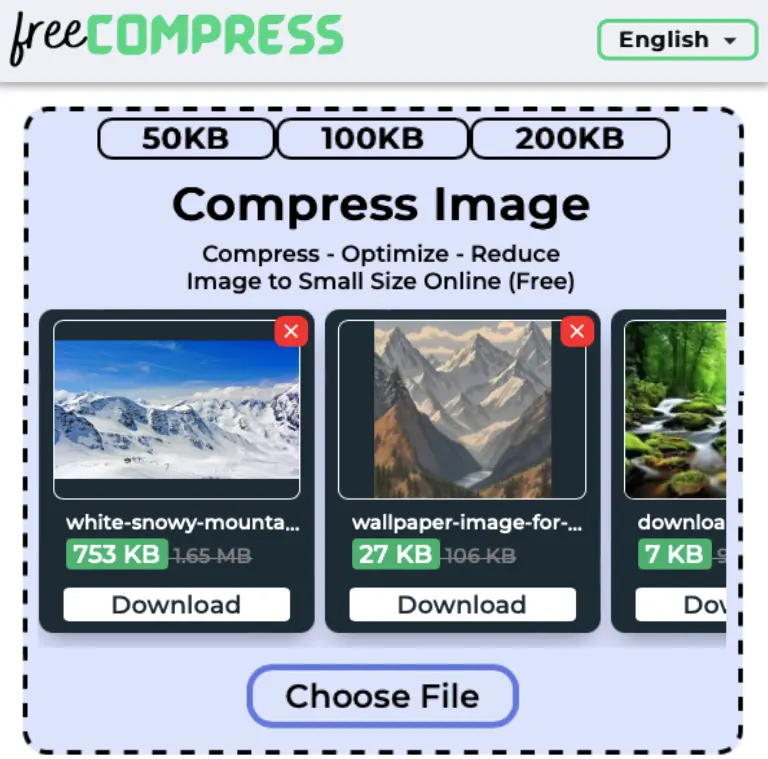 Compress image to 100KB online with FreeCompress