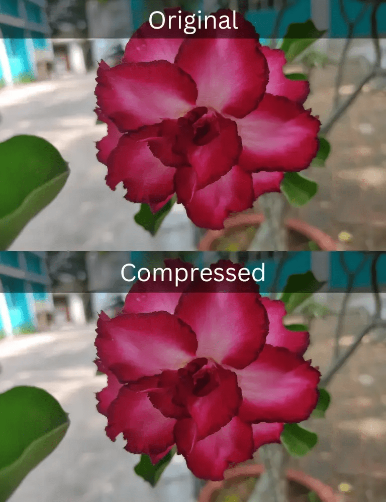 Example of a compressed JPEG