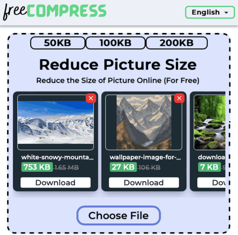 Reduce picture size to 1MB online with FreeCompress